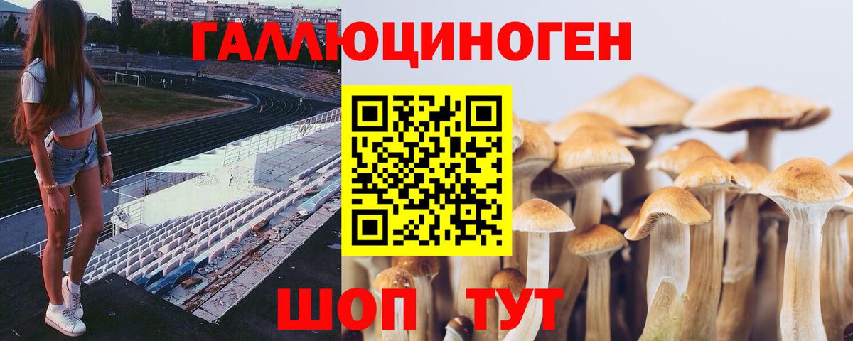 Псилоцибиновые грибы Psilocybe  Псилоцибиновые грибы Magic Shrooms  Вход с VPN  Саров 