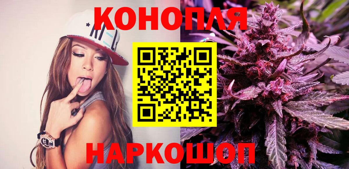 Конопля ГИДРОПОН Саров